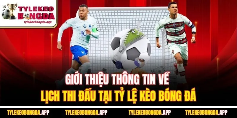 gioi-thieu-thong-tin-ve-lich-thi-dau-tai-ty-le-keo-bong-da