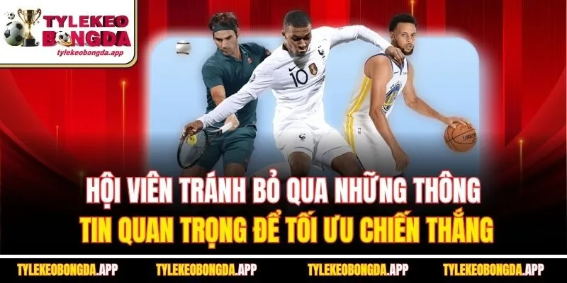 hoi-vien-tranh-bo-qua-nhung-thong-tin-quan-trong-de-toi-uu-chien-thang