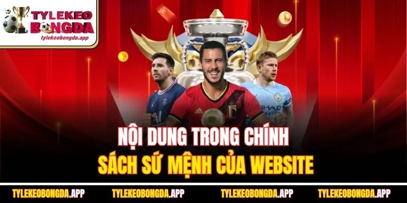 noi-dung-trong-chinh-sach-su-menh-cua-website