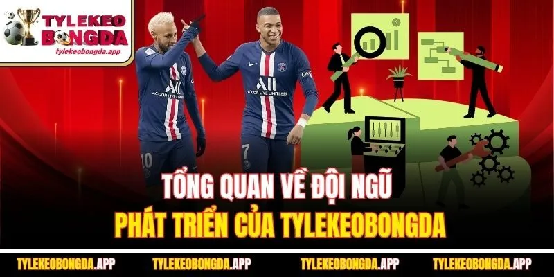 tong-quan-ve-doi-ngu-phat-trien-cua-tylekeobongda