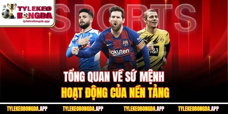 tong-quan-ve-su-menh-hoat-dong-cua-nen-tang