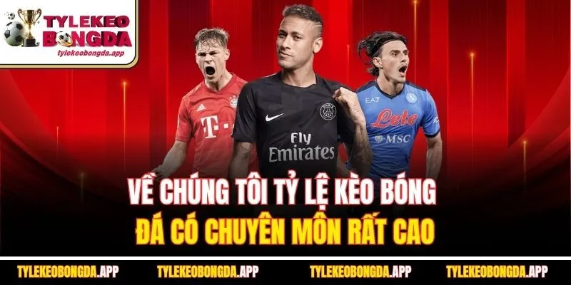 ve-chung-toi-ty-le-keo-bong-da-co-chuyen-mon-rat-cao